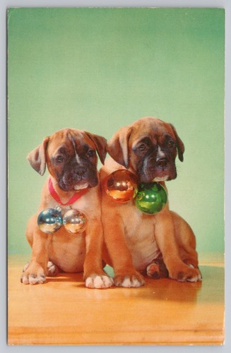 Boxer puppies christmas - 2,