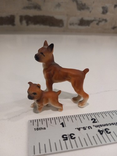Boxer dog mother - dog, puppy