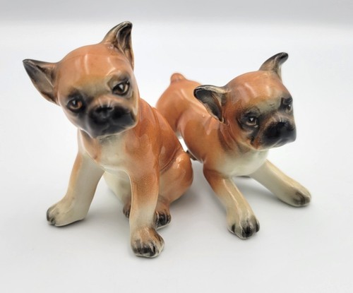 Vintage boxer puppy - puppy, dog