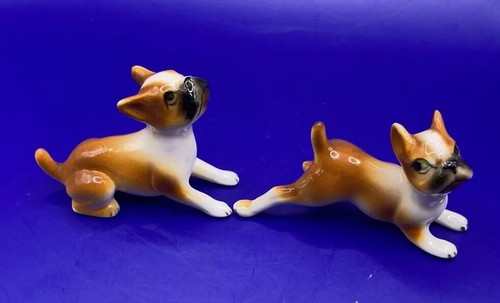 Vintage miniature boxer puppy - boxer,