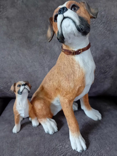 Charming mother boxer dog and - boxer,