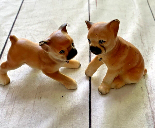 Pair boxer dogs - of,
