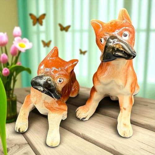 Playful boxer puppy salt - puppy, and
