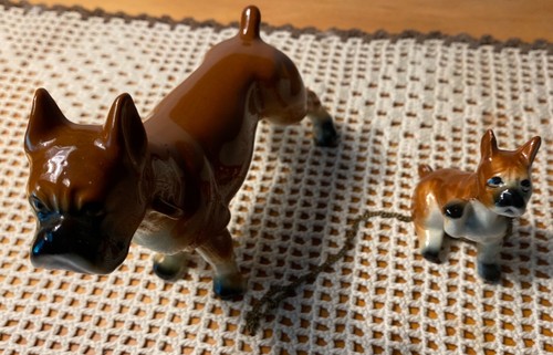Pair tall fawn boxer dog - fawn,