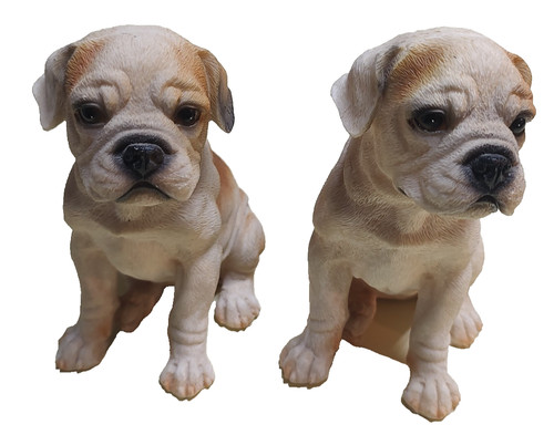 2pc resin boxer puppy - resin,