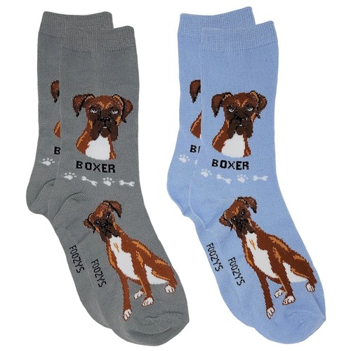 Boxer fighter dog - dog, 2
