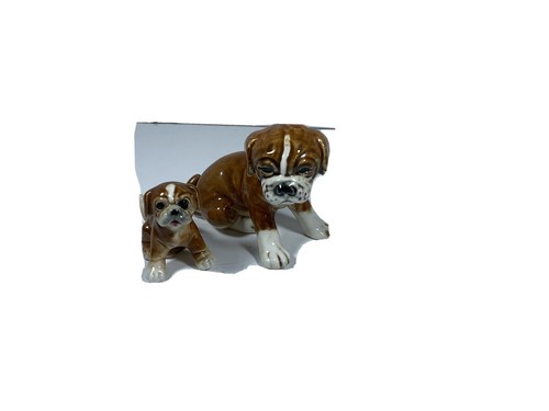 Three boxer dog puppies - boxer,