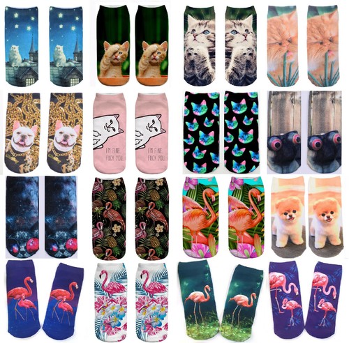 Kitten catnip puppy dog - kitten,