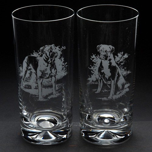Boxer dog highball glass - highball,